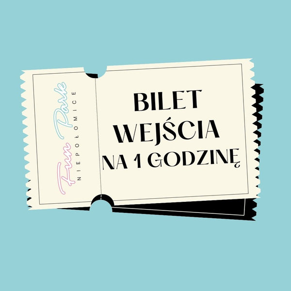 Wejście FunPark na 1 godzinę